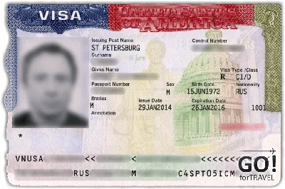 Потеряли паспорт в посольстве США в Москве • Форум Винского