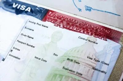 Отказ в визе США: причины, статистика отказов, что делать?