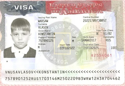 Визы в США: что нужно знать и как получить визу в США | Майами