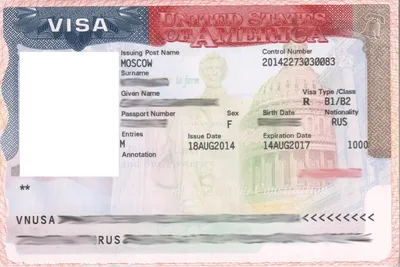 Как самостоятельно получить американскую визу | US-America - информационный  портал о США