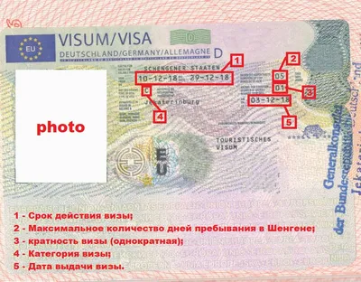 Анкета на визу в Германию онлайн: самая полная инструкция