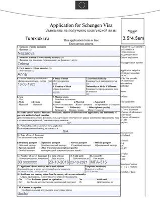 Шенгенская виза в Германию 2024 самостоятельно. Документы, образец  заполнения анкеты на Туристер.Ру