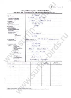 Как получить визу в Германию в 2023 году: советы и рекомендации - Визовый  центр