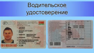 Россиянам, переехавшим в Беларусь, разрешат не менять водительские права |  Новости Беларуси | euroradio.fm
