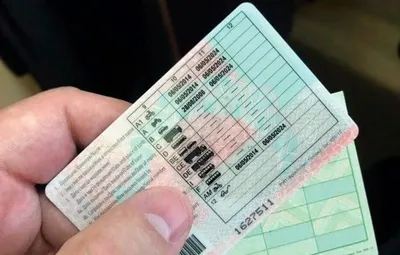 ГАИ опровергло объявления в сети: водительское удостоверение купить  невозможно | bobruisk.ru