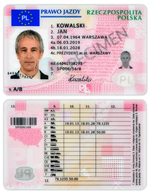 Фальшивое водительское удостоверение и статья за подделку документов