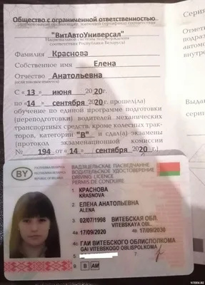 Беларусь водительское удостоверение