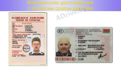 Срок действия водительских прав в Беларуси