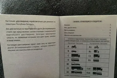 В Брянске осудили гражданина Республики Беларусь за использование  поддельных водительских прав | РИА «Стрела»