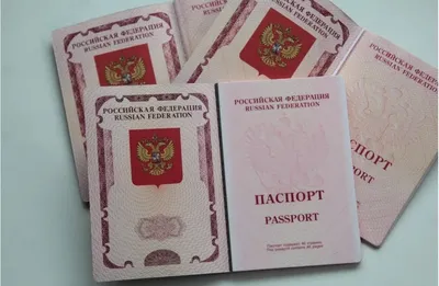 В Челябинской области возобновили выдачу биометрических загранпаспортов -  KP.RU