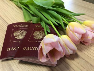 Как работают новые правила сдачи загранпаспорта и кого не пустят за границу  - Лента новостей Екатеринбурга