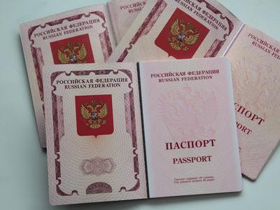В Екатеринбурге начали выдавать загранпаспорта на 10 лет - KP.RU