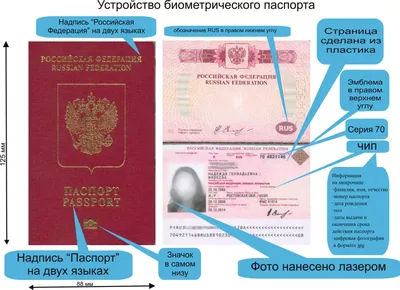 Как получить биометрический загранпаспорт в Москве?