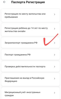 Помощь в оформлении загранпаспорта в Нижнем Новгороде - Оформление виз и  загранпаспортов - Разное: 2 специалиста по визово-паспортной поддержке