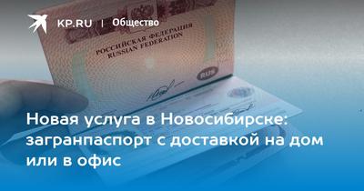 Почему сейчас нельзя получить биометрический загранпаспорт на 10 лет,  Новосибирск - 3 февраля 2023 - НГС.ру