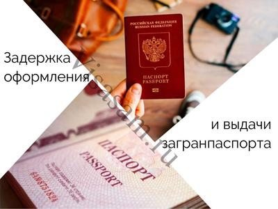 Как получить биометрический загранпаспорт на 10 лет - 1 июня 2023 -  ФОНТАНКА.ру