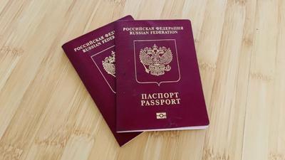 Самарский блогер сожгла загранпаспорт, чтобы доказать свой патриотизм -  KP.RU
