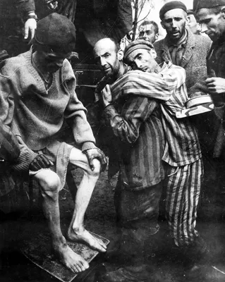 Заключенные немецкого концлагеря Вёббелин в ожидании медицинской помощи —  военное фото