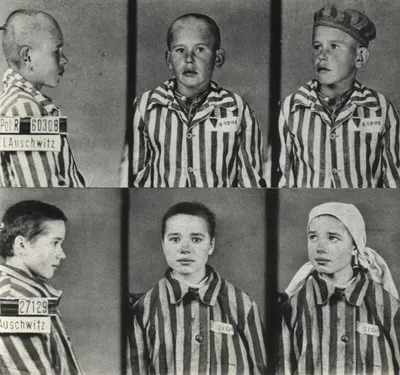 Сколько всего было немецких концлагерей и количество узников в них |  История с Андреем Журавлевым | Дзен