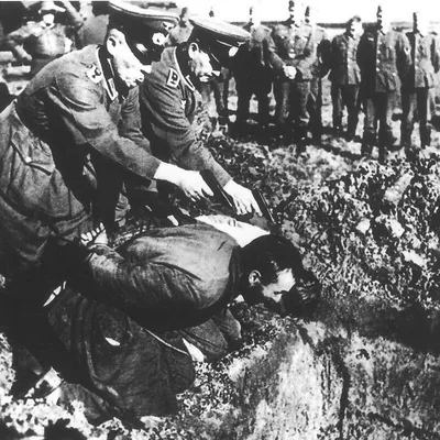 Пропуска в плен\" для немцев заработали после битвы под Сталинградом -  Российская газета