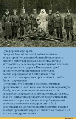 Военно-патриотическая игра «Воздушный бой «Таран»» - Томский областной  краеведческий музей