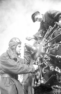 Один из первых сбитых под Одессой немецких самолетов — Хейнкель He. 111 из  KG27 [1] — военное фото
