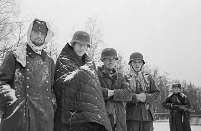 Четверо пленных немецких солдат под Москвой [2] — военное фото