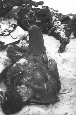Убитые немецкие солдаты в районе Сталинграда [1] — военное фото