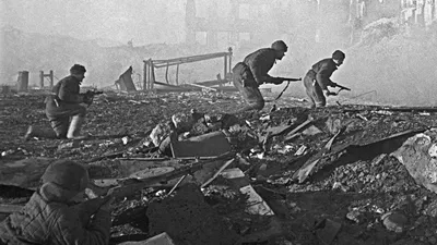 Сталинград, 1992 — описание, интересные факты — Кинопоиск