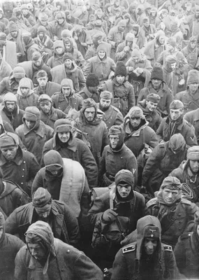 Группа немецких солдат, взятых в плен в г. Сталинграде. Ноябрь 1942 г. |  Сталинград