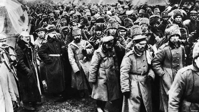 Дневники немецких солдат и офицеров:1941-1942 годы