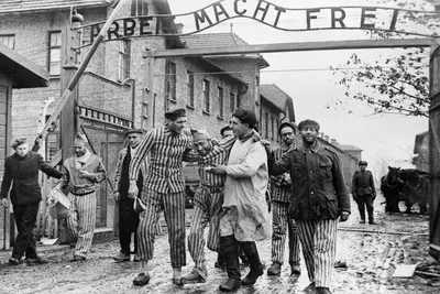 Жестокость немцев во время Второй мировой войны: каковы ее причины. |  Тёмный историк | Дзен