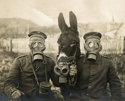 Фото немецких солдат первой мировой войны - фотографии офицеров и простых  солдат 1 мировой