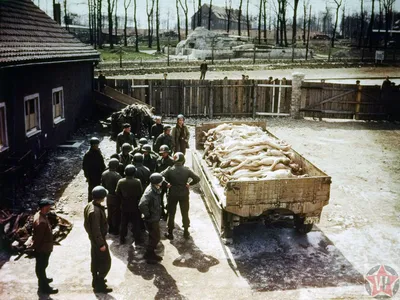 Немецкие военнопленные в Швейцарии после окончания Второй мировой войны -  SWI swissinfo.ch