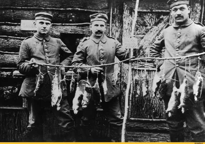 Немецкие солдаты с \"добычей\" после охоты на окопных крыс, ставших настоящим  бедствием для фронтовико / старое фото :: Всё самое интересное (интересное,  познавательное,) :: война :: немцы :: солдаты :: крысы ::