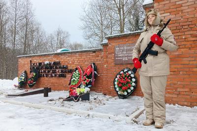 За год в Петербурге нашли и с почестями захоронили останки 59 красноармейцев