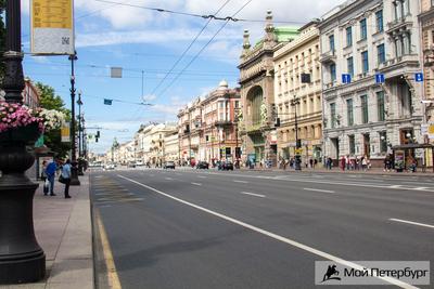 Невский проспект и центр Петербурга перекроют для празднования Нового года  вечером 31 декабря - KP.RU