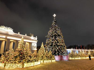 Новогодняя Москва 2021: как украсили город и по какому маршруту гулять |  moscowwalks.ru