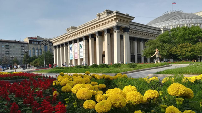 Более 300 тысяч цветов высадят в Новосибирске летом 2023 года - Новости  Новосибирска - om1.ru