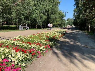 Что посетить в Новосибирске летом и зимой. Отель River Park рекомендует!