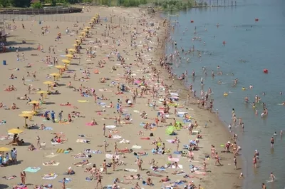 Шесть пляжей планируют открыть этим летом в Новосибирске
