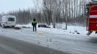 Как выглядит экспозиция Новосибирской области на ВДНХ