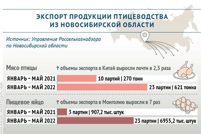 Назван лучший район для отдыха в Новосибирской области летом 2023 года |  АиФ Новосибирск | Дзен