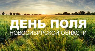 В Новосибирской области в прошлом году отдохнули 1 млн 74 тысячи туристов | Новосибирская  область | ФедералПресс