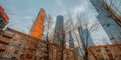 Апартаменты в небоскребах: сколько стоят квартиры в \"Москва-Сити\"