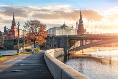 Фотография Золото осенней Москвы №252417 - «Осенняя пора - очей  очарованье...» (08.11.2021 - 18:24)