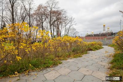 Главархив представил новую онлайн-выставку «Парки Москвы. Осень»