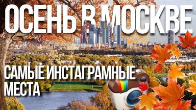 Золотая осень на юго-западе Москвы