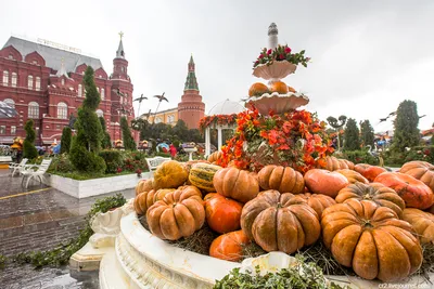 Осень в Москве: где самые красивые фото и виды - YouTube