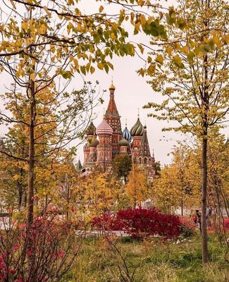 Московские парки для прогулок осенью